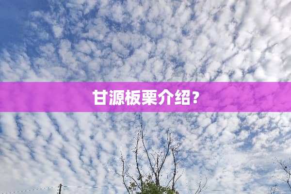 甘源板栗介绍？