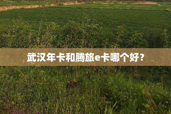 武汉年卡和腾旅e卡哪个好？