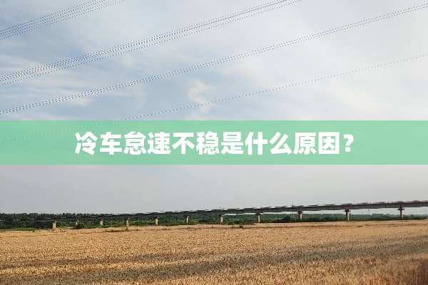 冷车怠速不稳是什么原因？