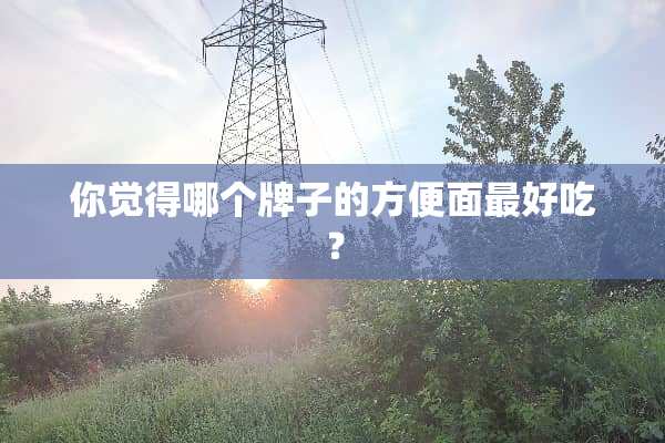 你觉得哪个牌子的方便面最好吃？