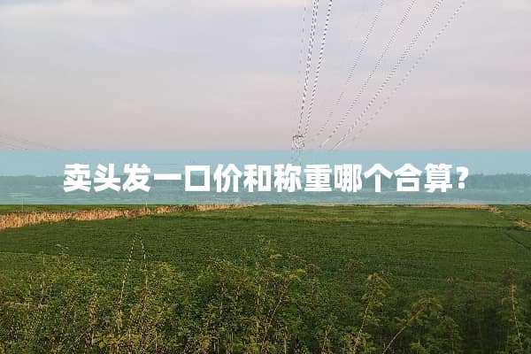 卖头发一口价和称重哪个合算？