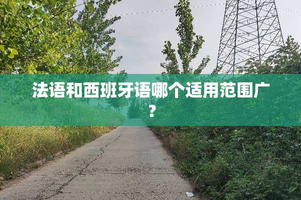 法语和西班牙语哪个适用范围广？