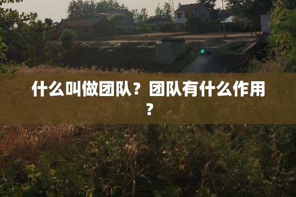 什么叫做团队？团队有什么作用？