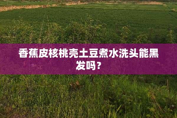 香蕉皮核桃壳土豆煮水洗头能黑发吗？