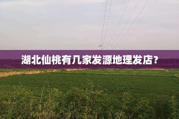 湖北仙桃有几家发源地理发店？