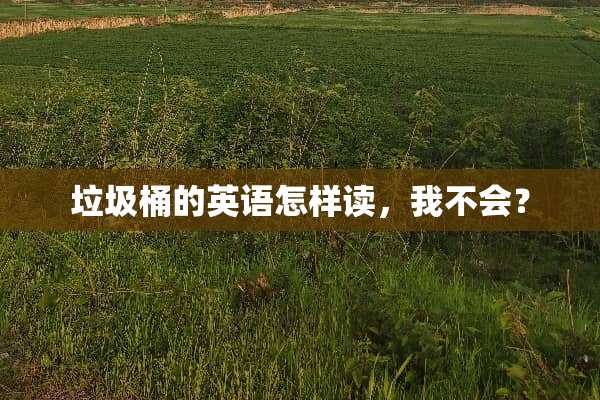 垃圾桶的英语怎样读，我不会？