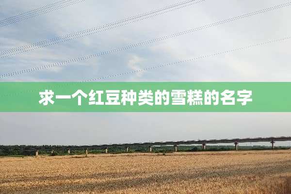 求一个红豆种类的雪糕的名字
