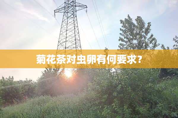 菊花茶对虫卵有何要求？