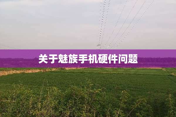 关于魅族手机硬件问题