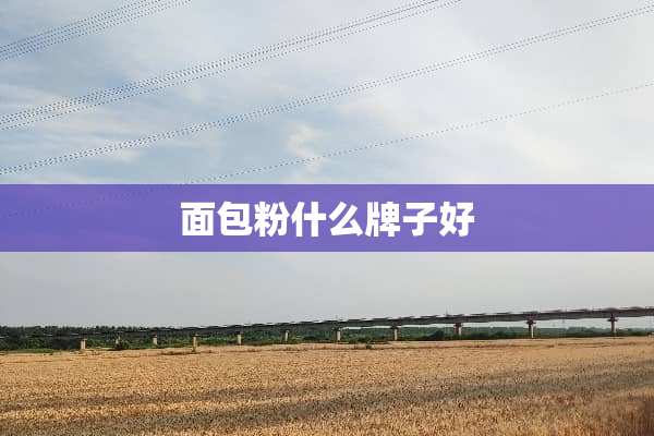 面包粉什么牌子好