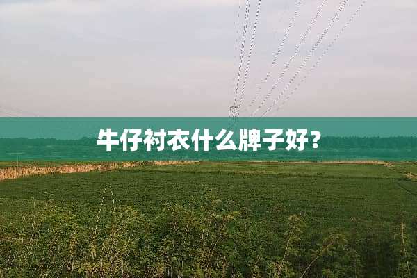 牛仔衬衣什么牌子好？