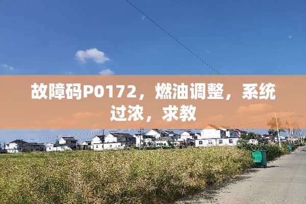 故障码P0172，燃油调整，系统过浓，求教