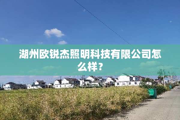 湖州欧锐杰照明科技有限公司怎么样？