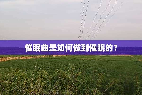 **曲是如何做到**的？