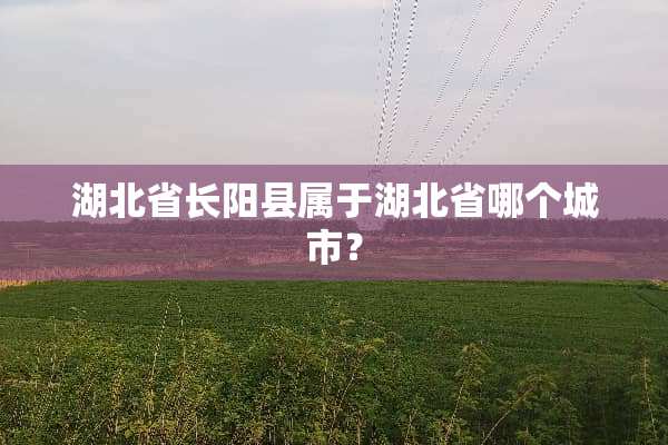 湖北省长阳县属于湖北省哪个城市？