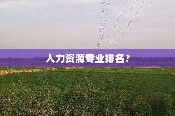 人力资源专业排名？
