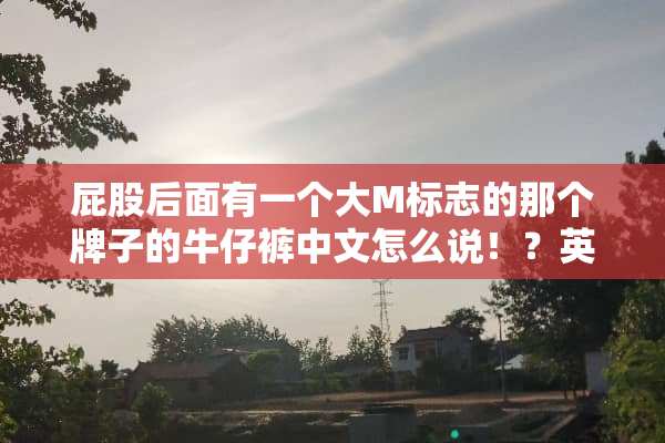 **后面有一个大M标志的那个牌子的牛仔裤中文怎么说！？英文全称也行！