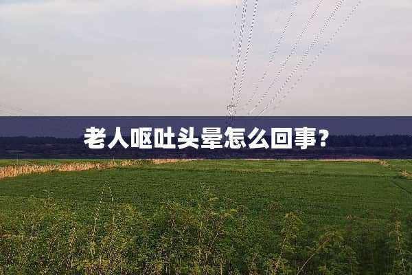 老人呕吐头晕怎么回事？