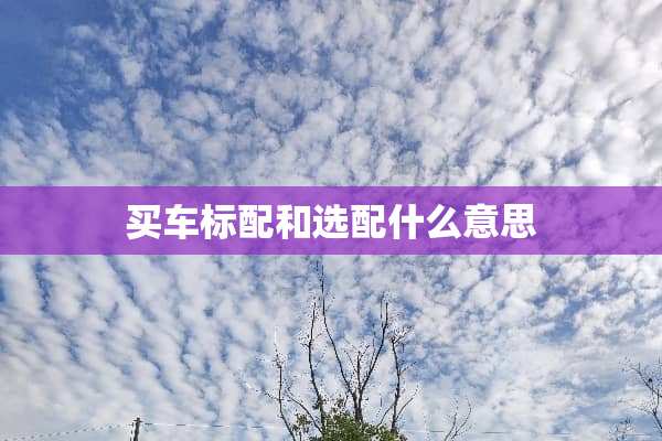 买车标配和选配什么意思