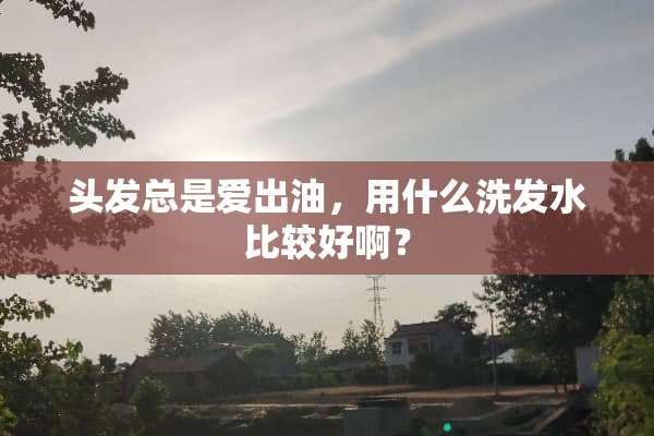 头发总是爱出油，用什么洗发水比较好啊？