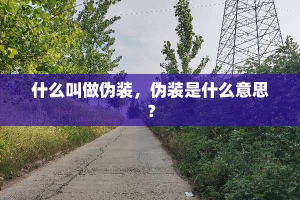 什么叫做伪装，伪装是什么意思？