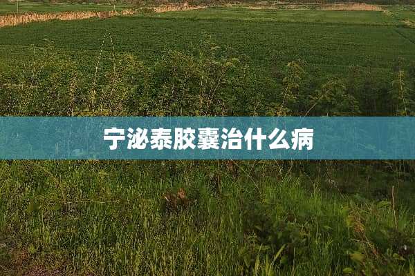 宁泌泰胶囊治什么病