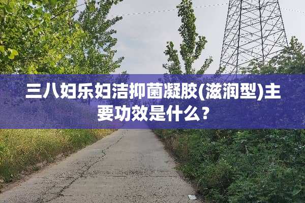三八妇乐妇洁抑菌凝胶(滋润型)主要功效是什么？