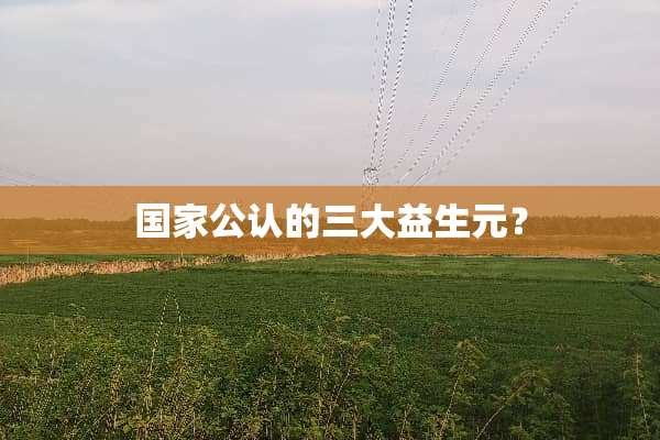 国家公认的三大益生元？