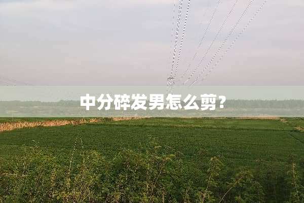 中分碎发男怎么剪？