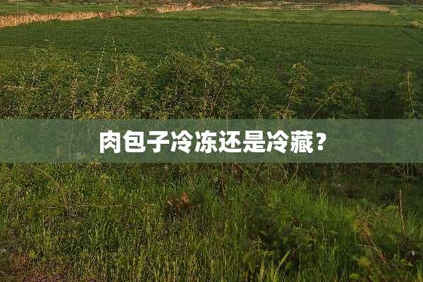 肉包子冷冻还是冷藏？