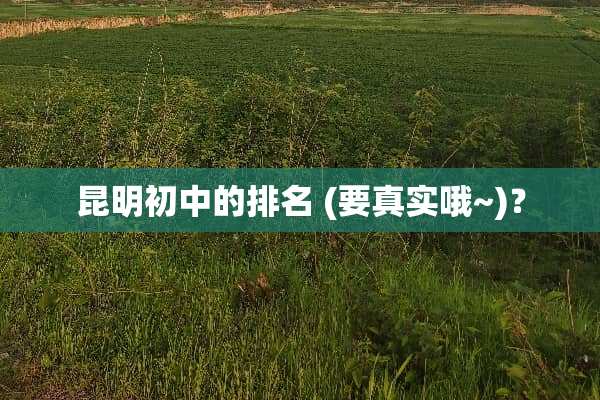 昆明初中的排名 (要真实哦~)？