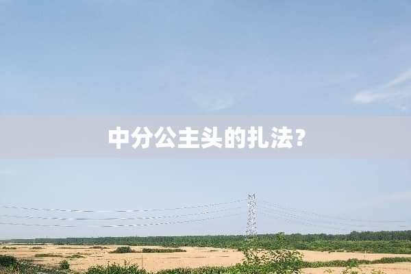 中分公主头的扎法？