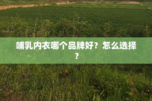哺***哪个品牌好？怎么选择？