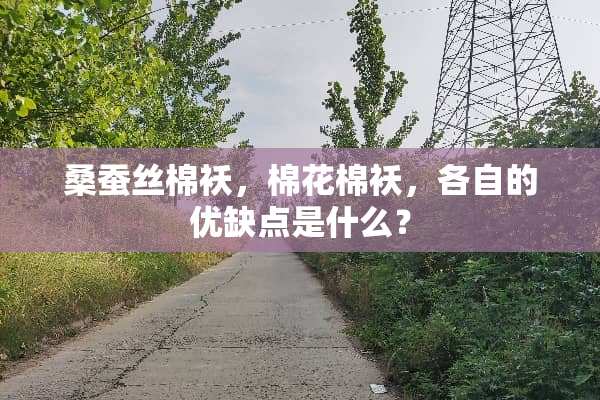 桑蚕丝棉袄，棉花棉袄，各自的优缺点是什么？