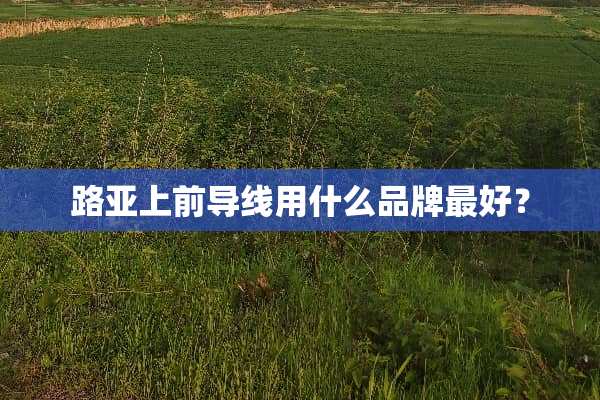 路亚上前导线用什么品牌最好？