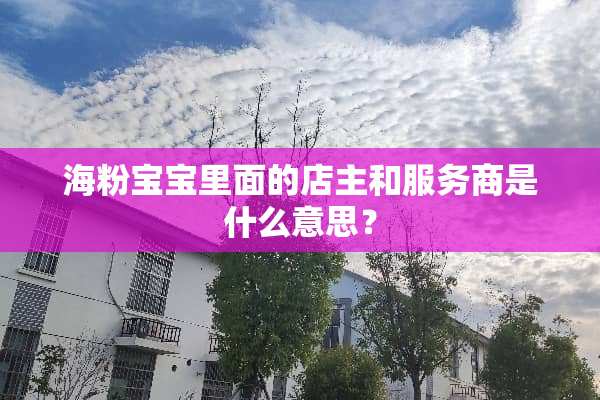 海粉宝宝里面的店主和服务商是什么意思？