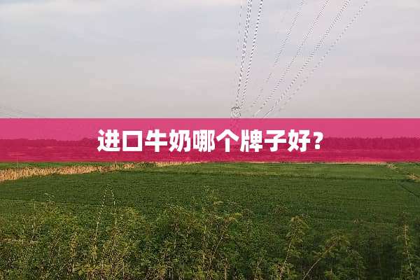 进口牛奶哪个牌子好？