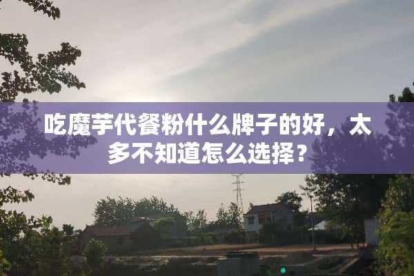 吃魔芋代餐粉什么牌子的好，太多不知道怎么选择？