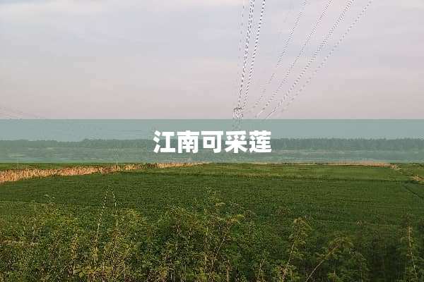 江南可采莲