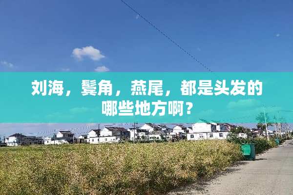 刘海，鬓角，燕尾，都是头发的哪些地方啊？