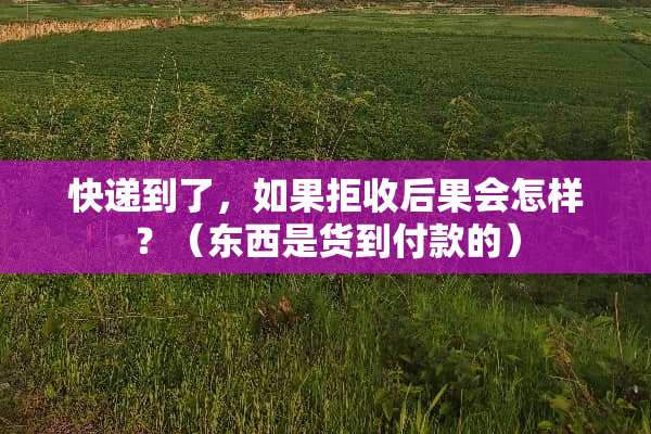 快递到了，如果拒收后果会怎样？（东西是货到付款的）