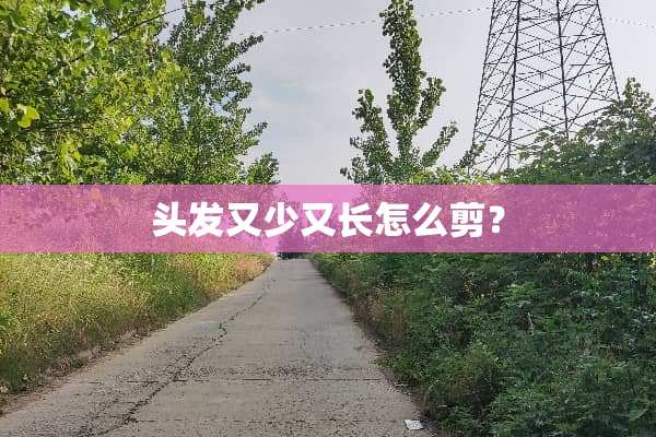 头发又少又长怎么剪？