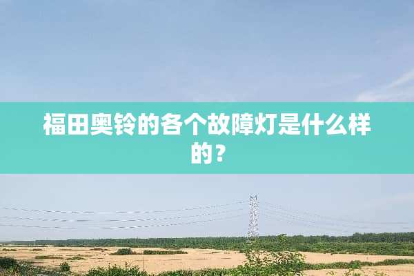 福田奥铃的各个故障灯是什么样的？