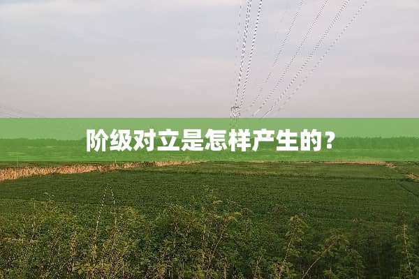 阶级对立是怎样产生的？