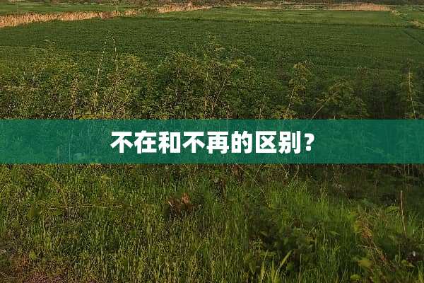 不在和不再的区别？