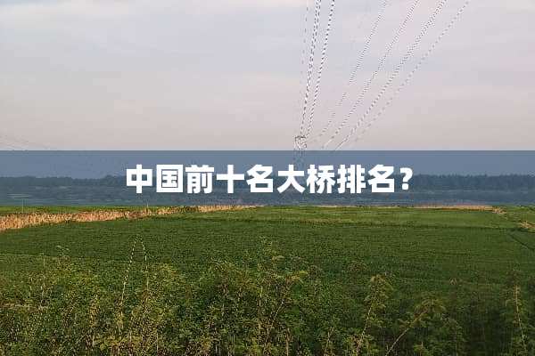 中国前十名大桥排名？