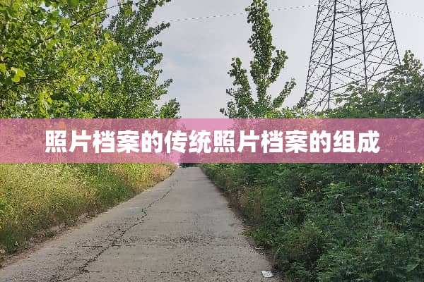 照片档案的传统照片档案的组成