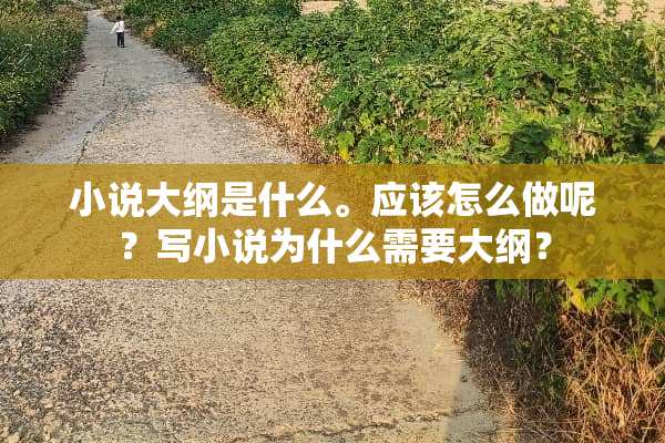 小说大纲是什么。应该怎么做呢？写小说为什么需要大纲？