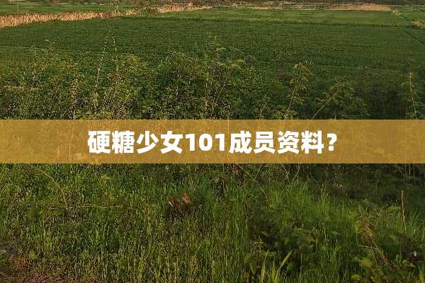 硬糖少女101成员资料？