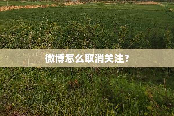 微博怎么取消关注？